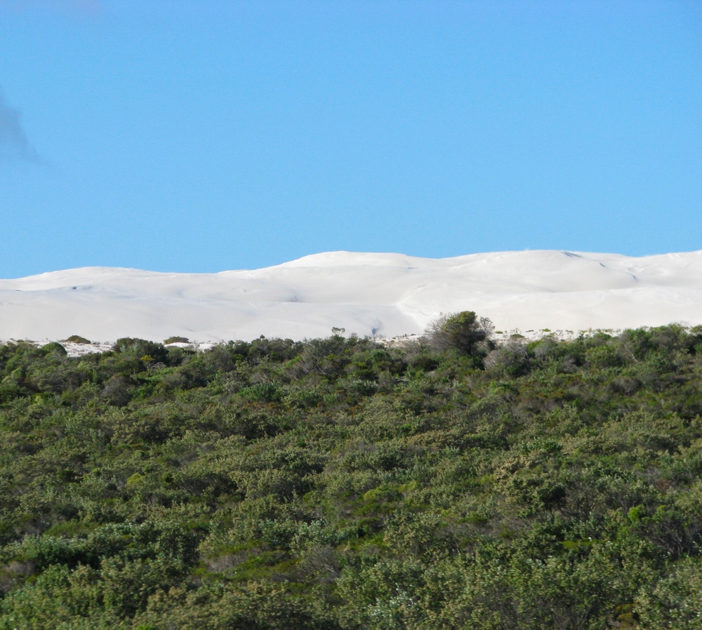 Photo d'un paysage lors d'un voyage en Australie pour le livre Chasseurs de pierres en Australie