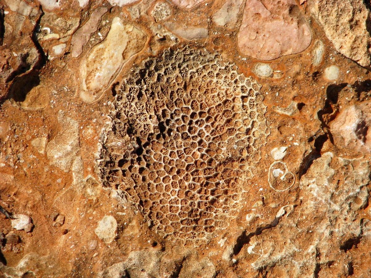 Photo d'un rocher lors d'un voyage en Australie pour le livre Chasseurs de pierres en Australie